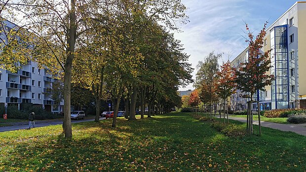 Grüne Parklandschaft mit Bäumen und buntem Laub, umgeben von modernen Wohngebäuden. Menschen genießen die Sonne im Freien.
