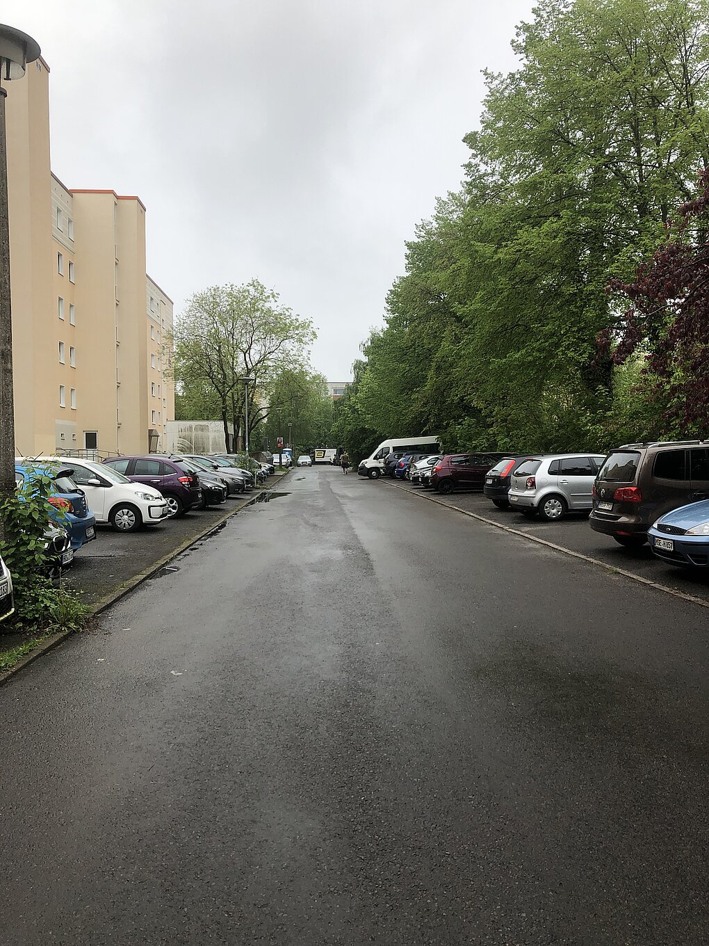 Putbuser Straße vor der Sanierung. Blick auf eine schmale Straße, gesäumt von Bäumen und parkenden Autos auf beiden Seiten. Der Himmel ist bewölkt.