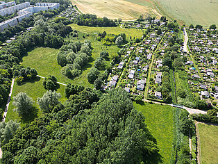 Luftaufnahme eines Parks mit Wiesen, Bäumen und einem angrenzenden Kleingartenverein neben Wohnblocks