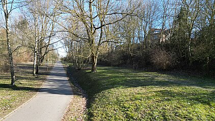 Ein Weg und rechts grüne Wiese.