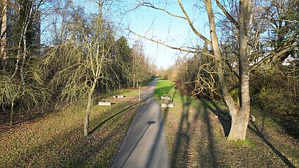 Blick auf einen Weg und rechts und links Wiese und Bäume.
