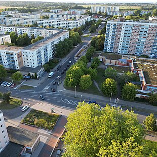 Luftaufnahme von Lichtenhagen mit Blick auf die Güstrower und Parchimer Straße  mit mehrstöckigen Plattenbauten, Straßen mit parkenden Autos und vielen Bäumen