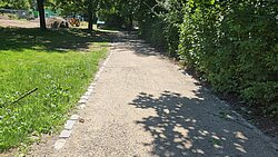 Ein schattiger Kiesweg mit Bäumen und Sträuchern an den Seiten und einer Baustelle im Hintergrund