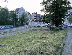 Blick auf eine Straße mit Häusern im Hintergrund, umgeben von grüner Vegetation und Blumen.