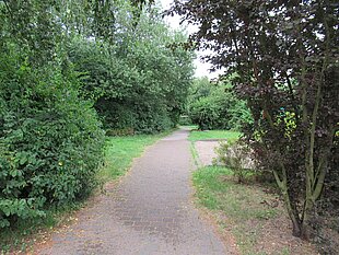 Ein schmaler Weg, umgeben von üppigem Grün und Bäumen, führt durch eine parkähnliche Landschaft.
