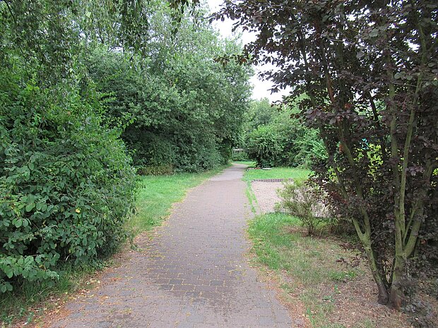 Ein schmaler Weg, umgeben von üppigem Grün und Bäumen, führt durch eine parkähnliche Landschaft.