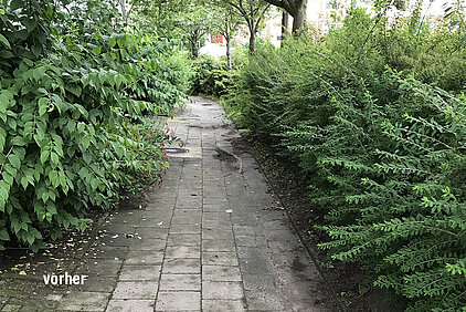 Beschädigter Gehweg Dierkower Höhe
